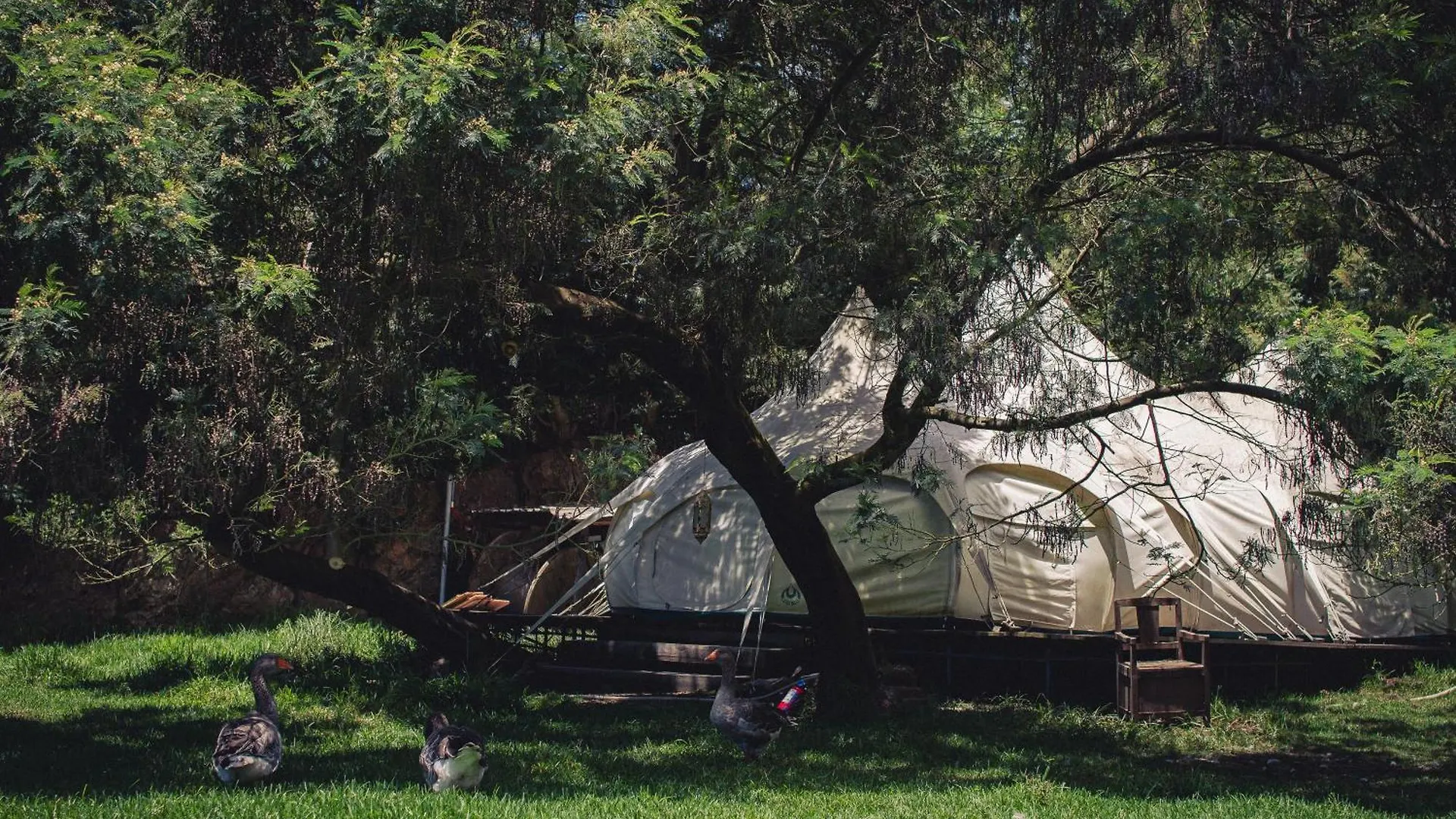 Arambha Ecovillage Farmstay Tabua  0*, Tabua (Madeira) Portugal