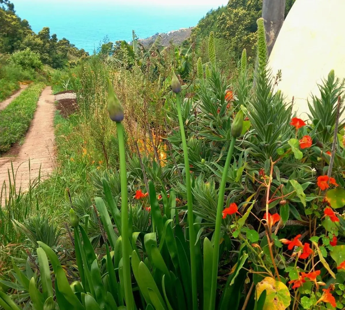 Arambha Ecovillage Farmstay Tabua  Camping
