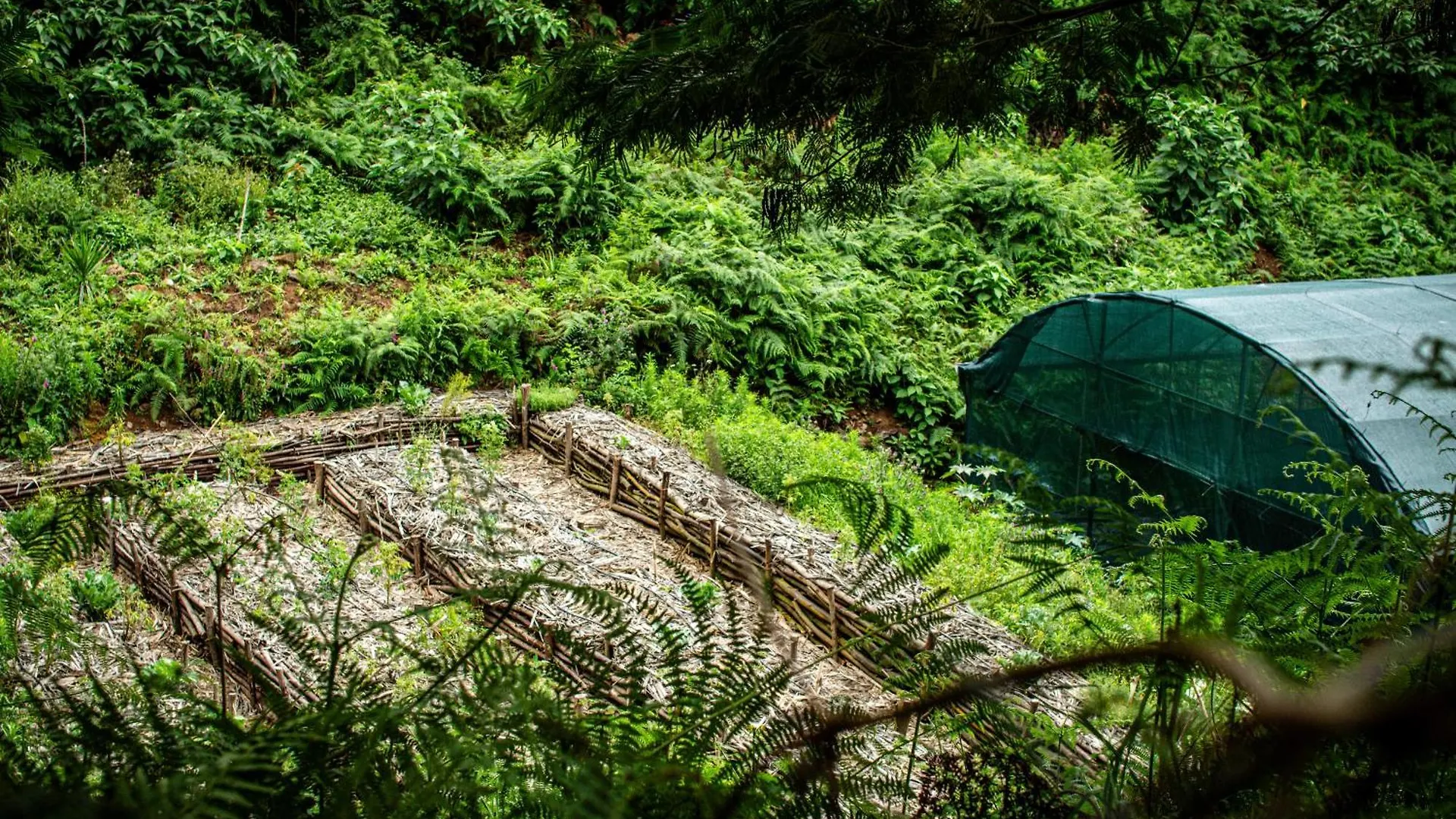 Arambha Ecovillage Farmstay Tabua  Camping Tabua (Madeira)