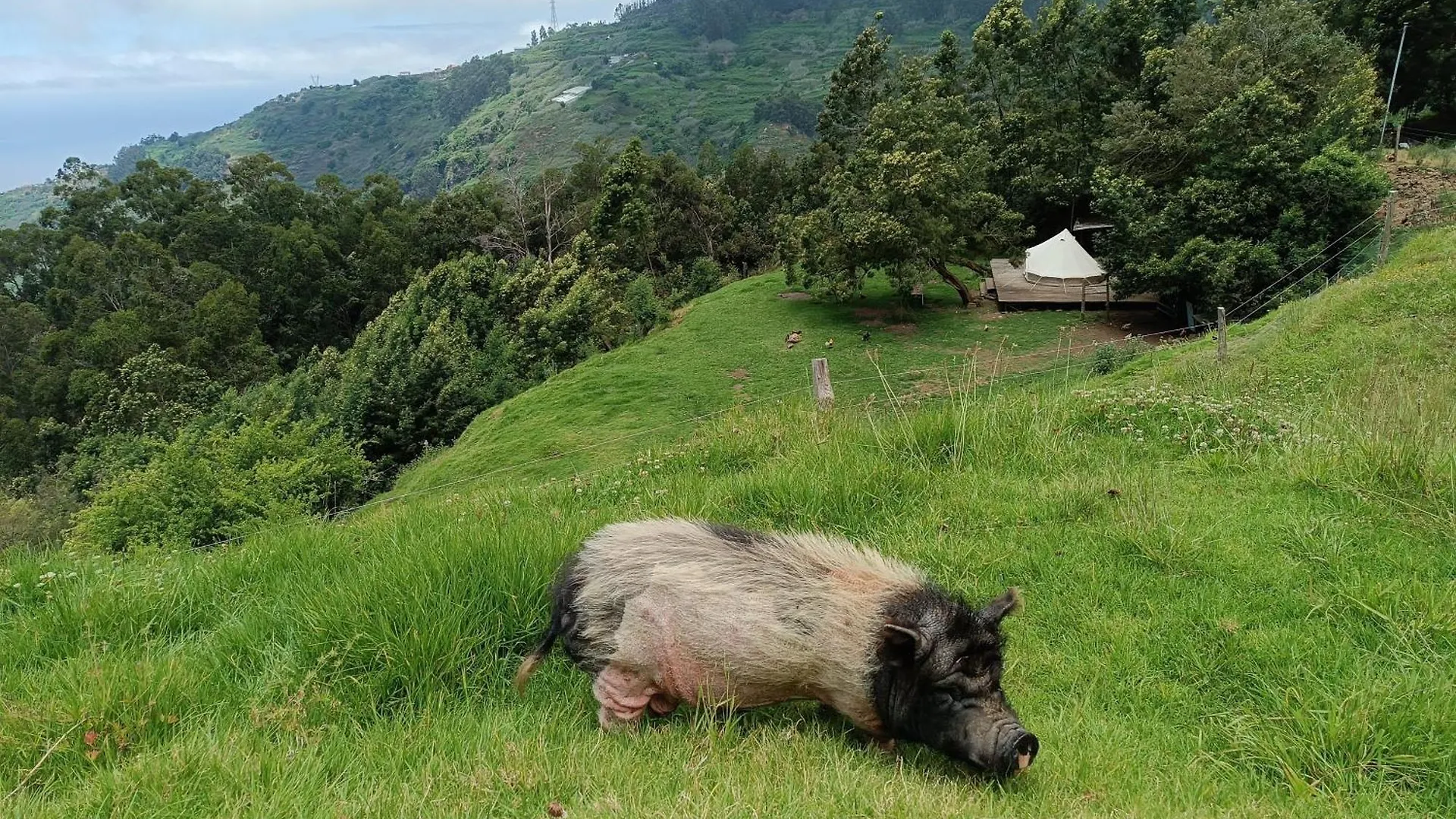 Arambha Ecovillage Farmstay Tabua